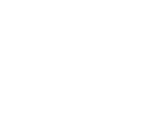 LF Serviços de Dados